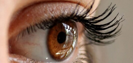 Understanding the eyelash life cycle and growth phases